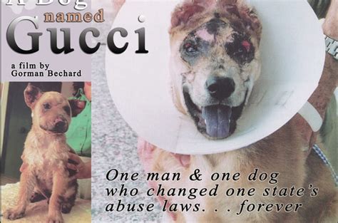 gucci animal cruelty.